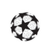 Champions league badge