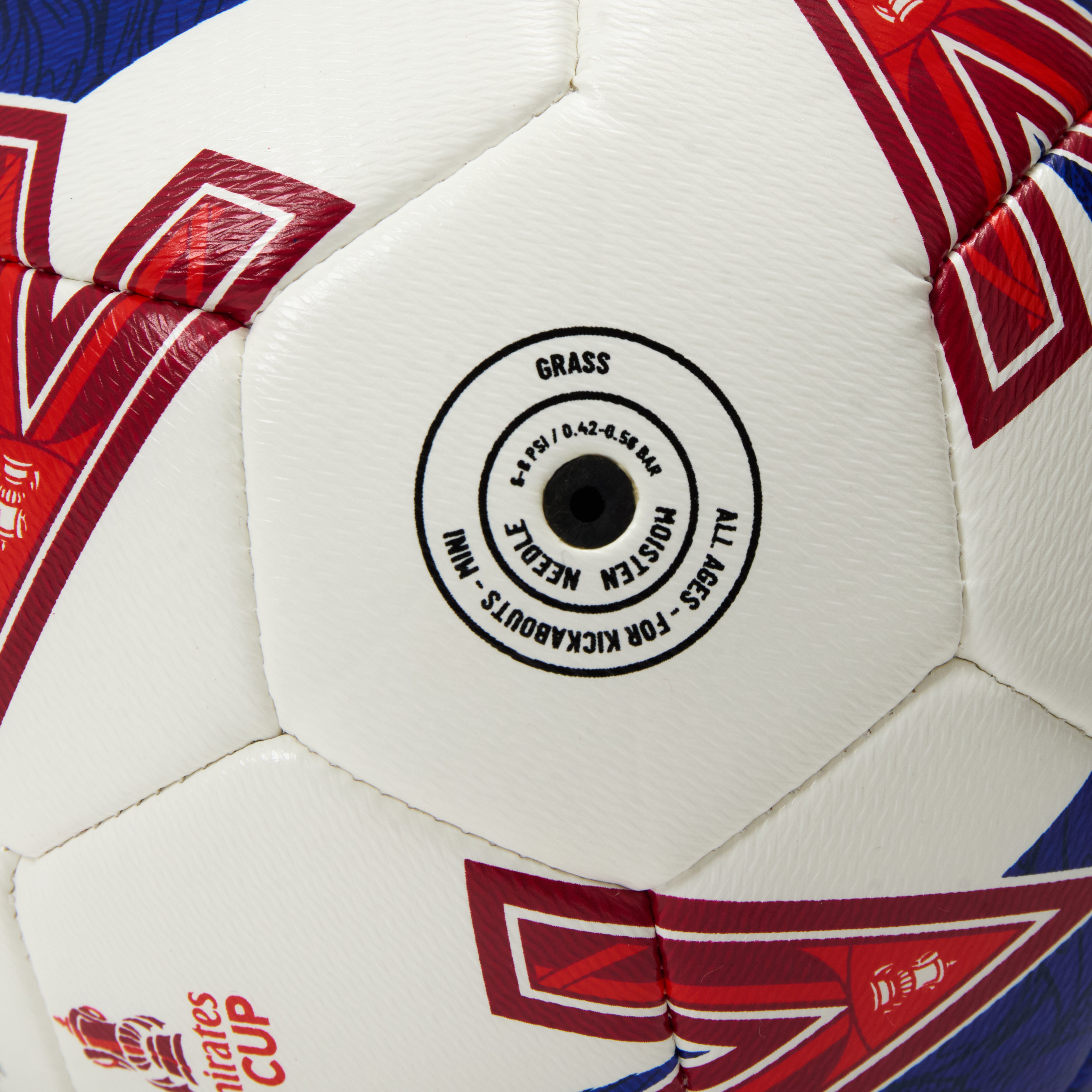 FA CUP PLAY 25/26 MINI