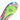 ZOOM SUPERFLY 11 ELITE FG