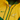Nike Springboks Windrunner Jacket Mens