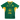 Springboks Home Jersey Replica - flat front
