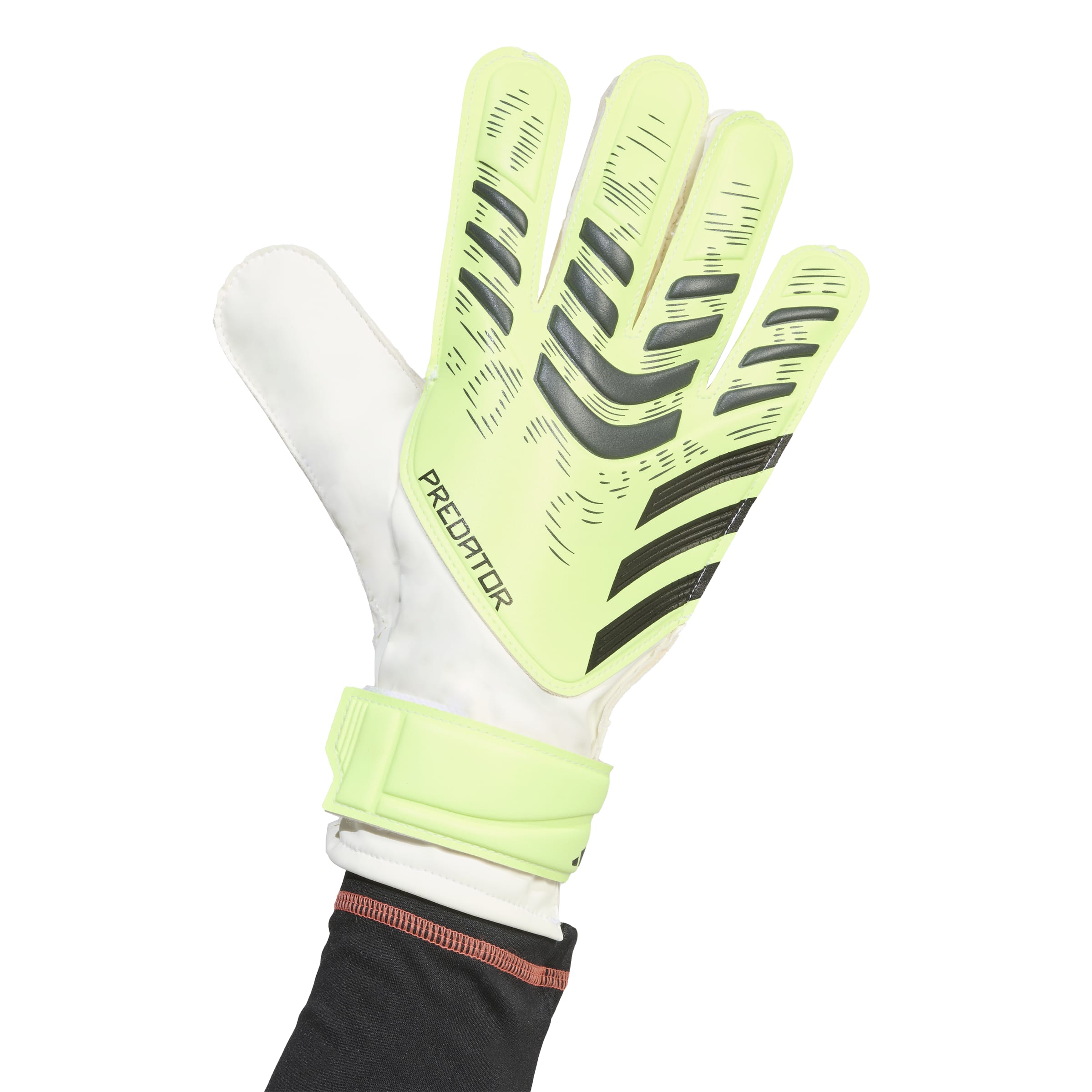 Predator Training Goalkeeper Gloves