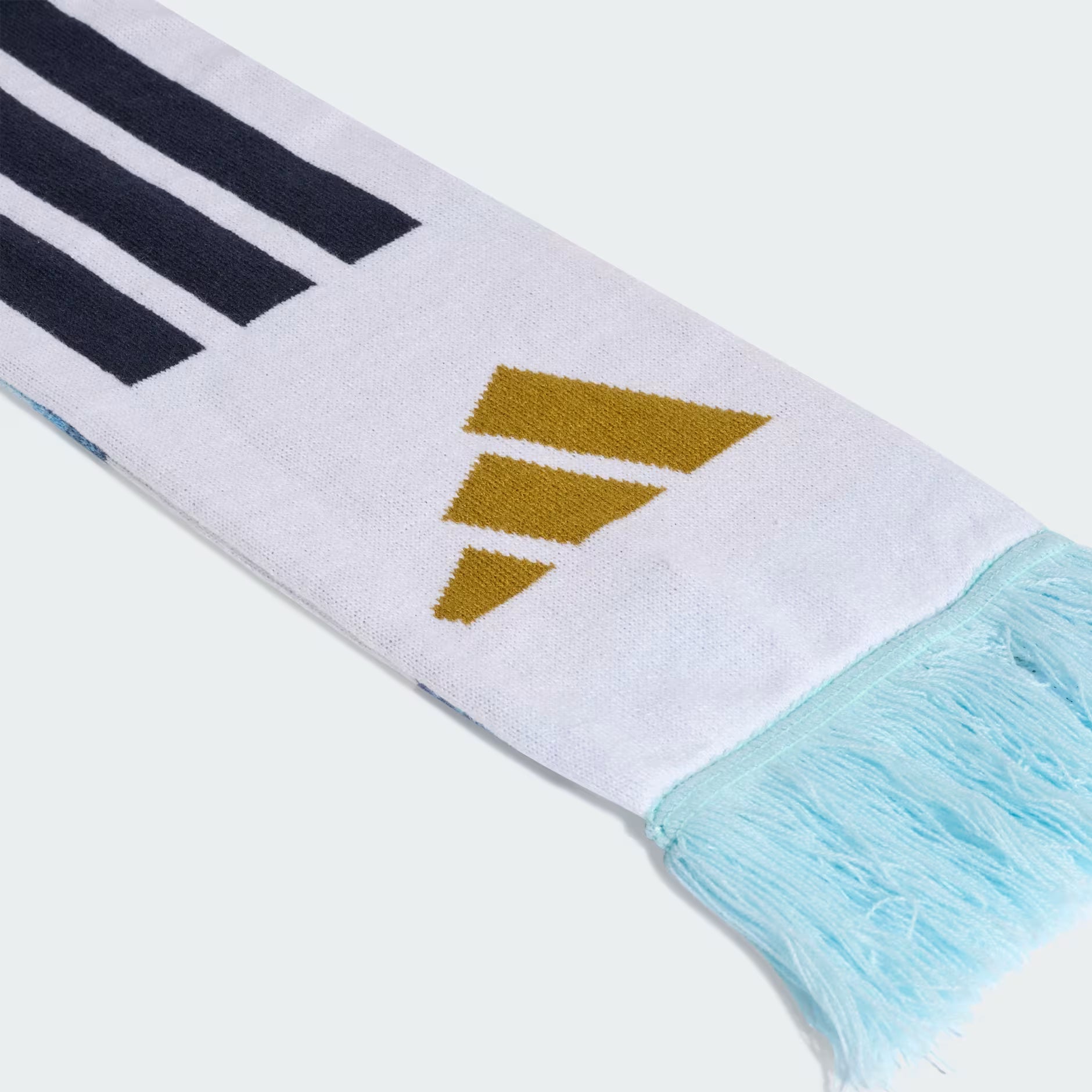 ARGENTINA SCARF