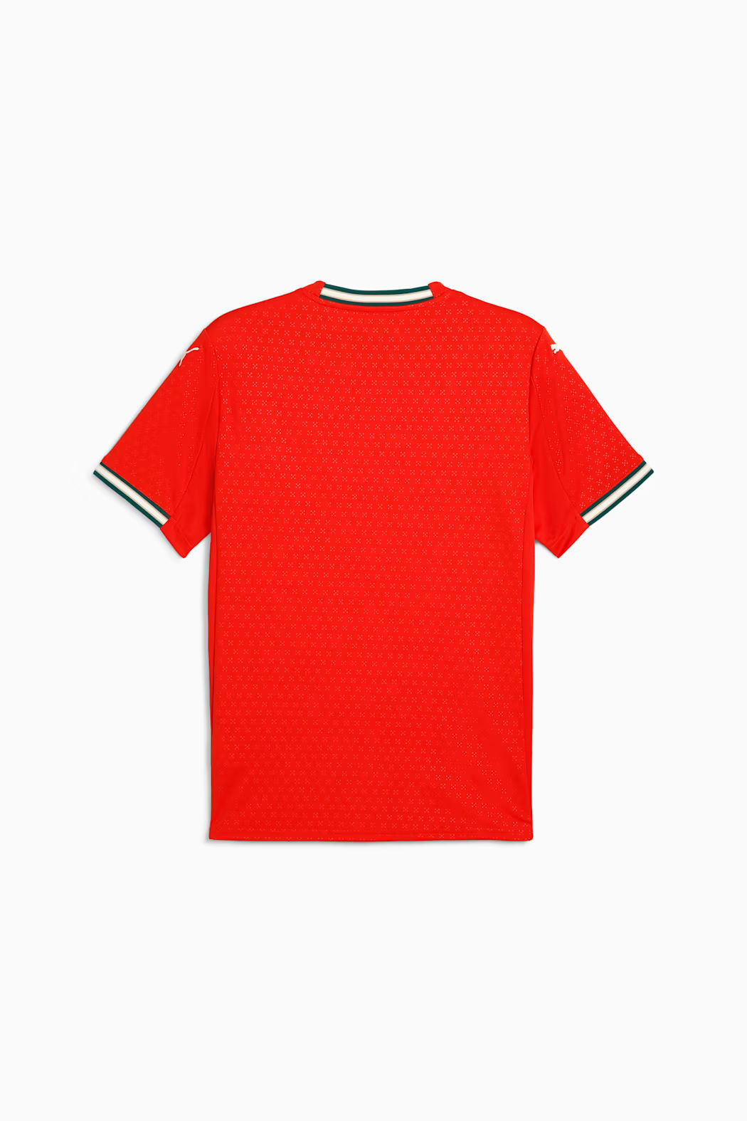 PORTUGAL 2025 HOME JERSEY