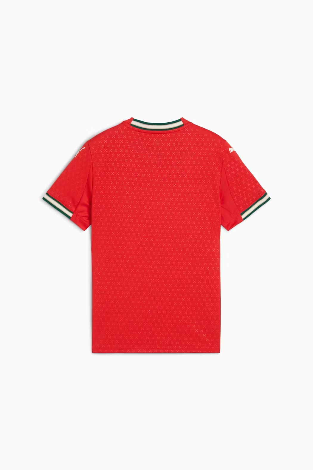 PORTUGAL HOME 2025 YOUTH JERSEY